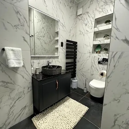 One Bedroom Flat Near Vivo * Cluj-Napoca